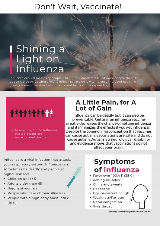 Shining a Light on Influenza Flyer