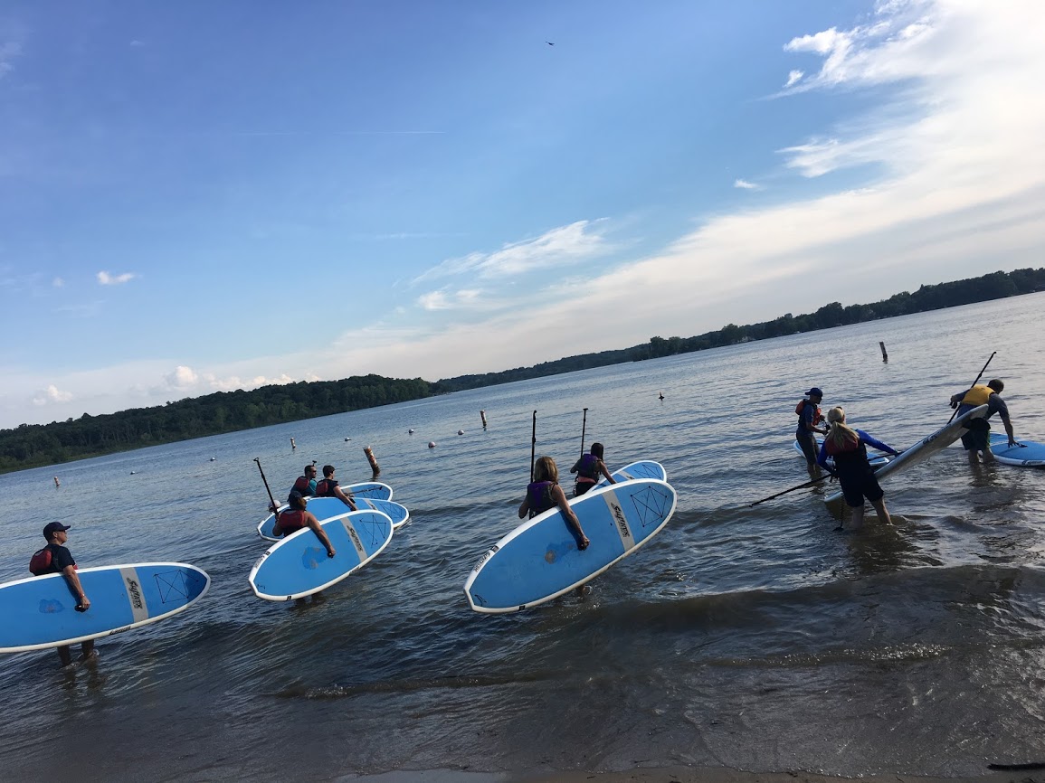 Paddle Board