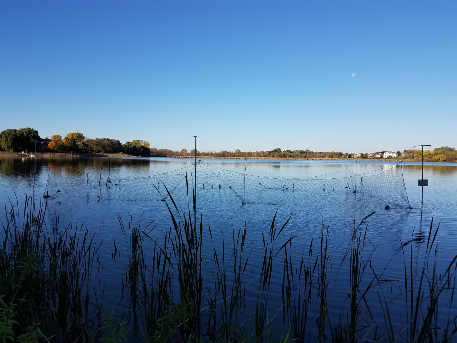 Benton Lake in Carver, Minnesota in the morning. Carp nets have been placed to capture common carp.