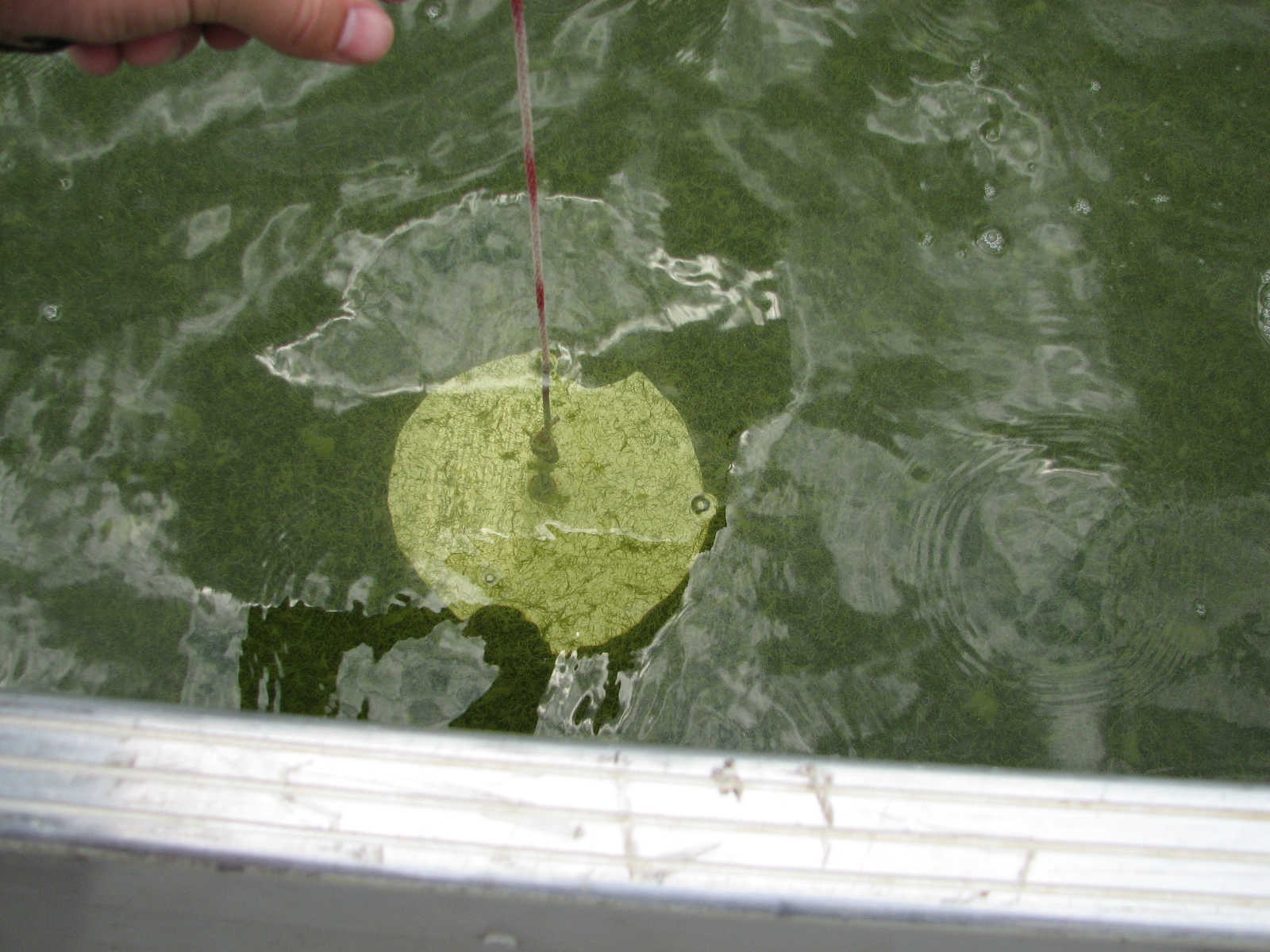 A white circle disc is lowered into the lake.