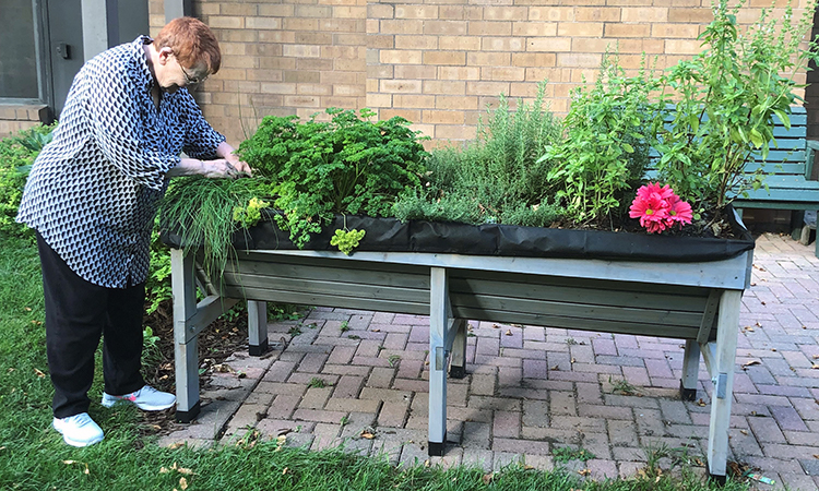 Woman tending to a raised garden outside