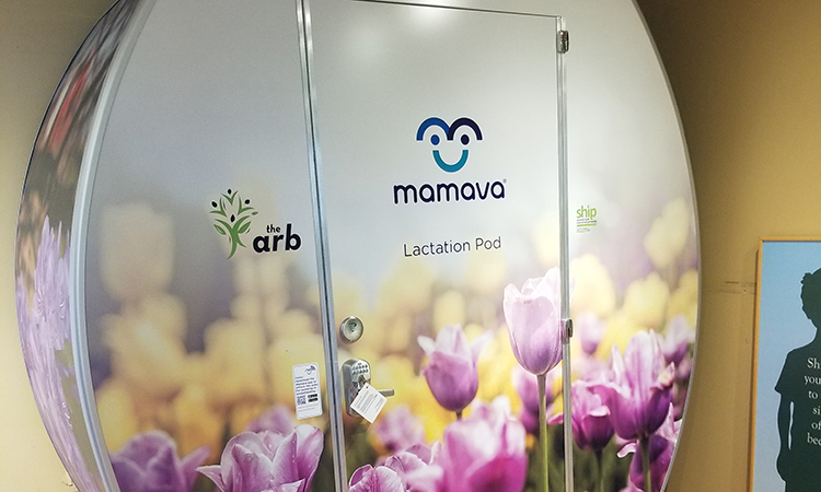 Photo of a lactation pod