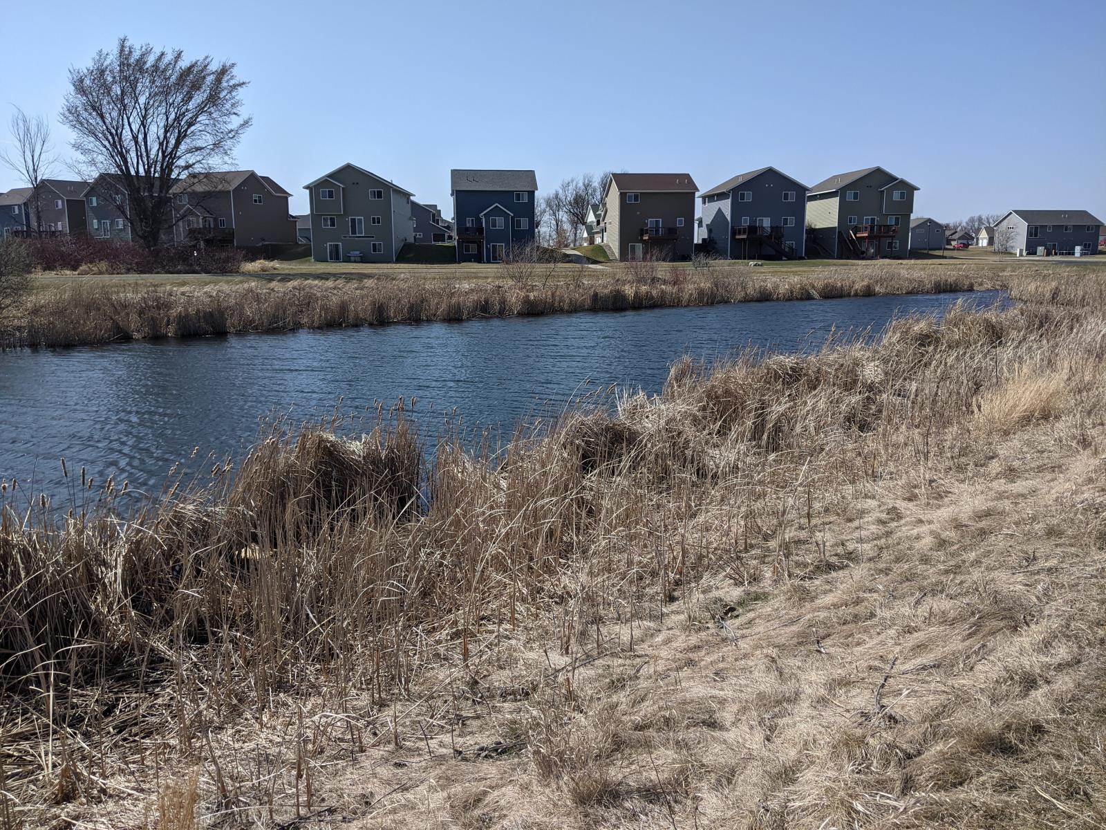 A oblong pond with a row of houses in the backround