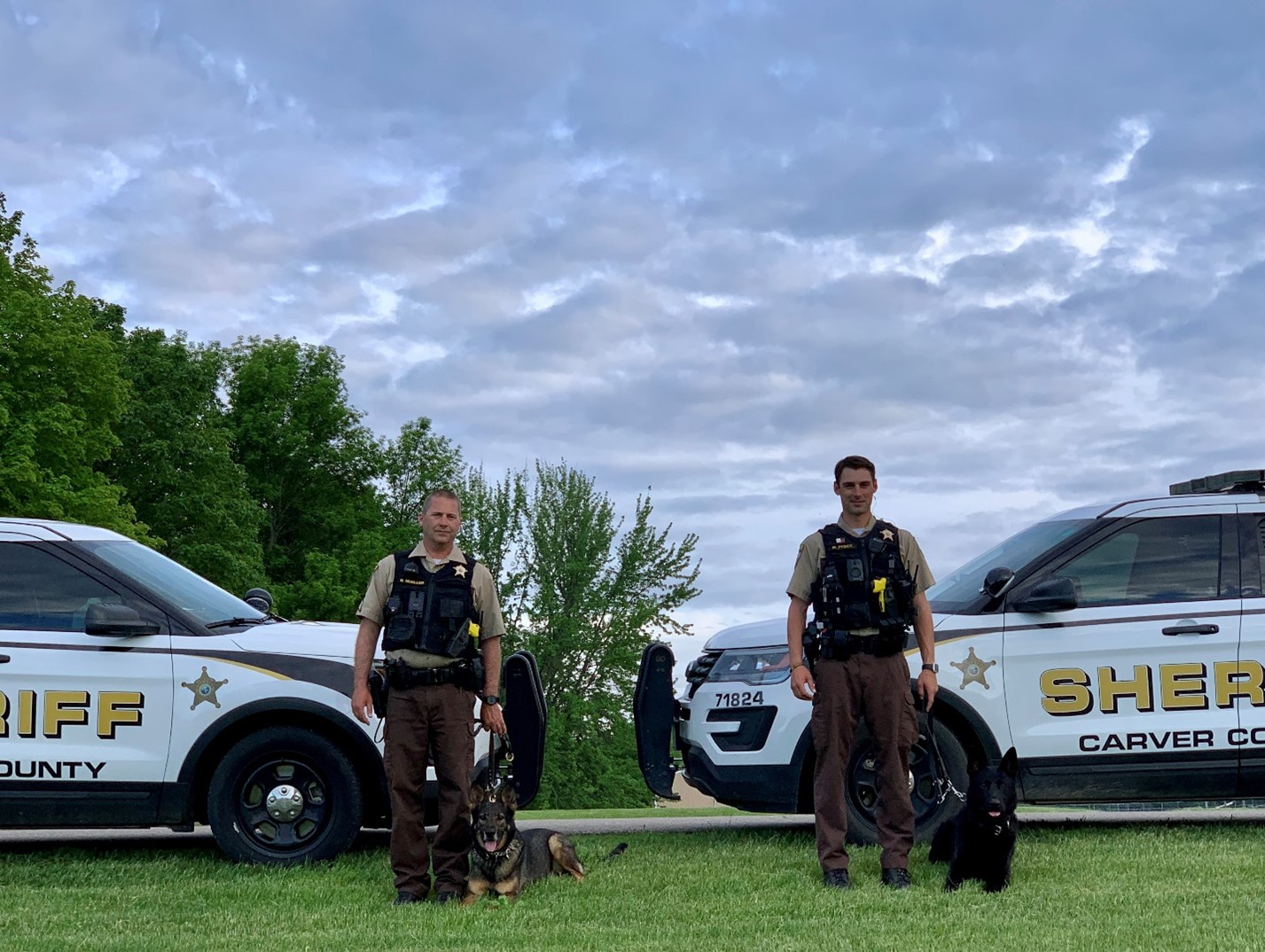 Sheriff K-9 Ringo and Gustave Gus