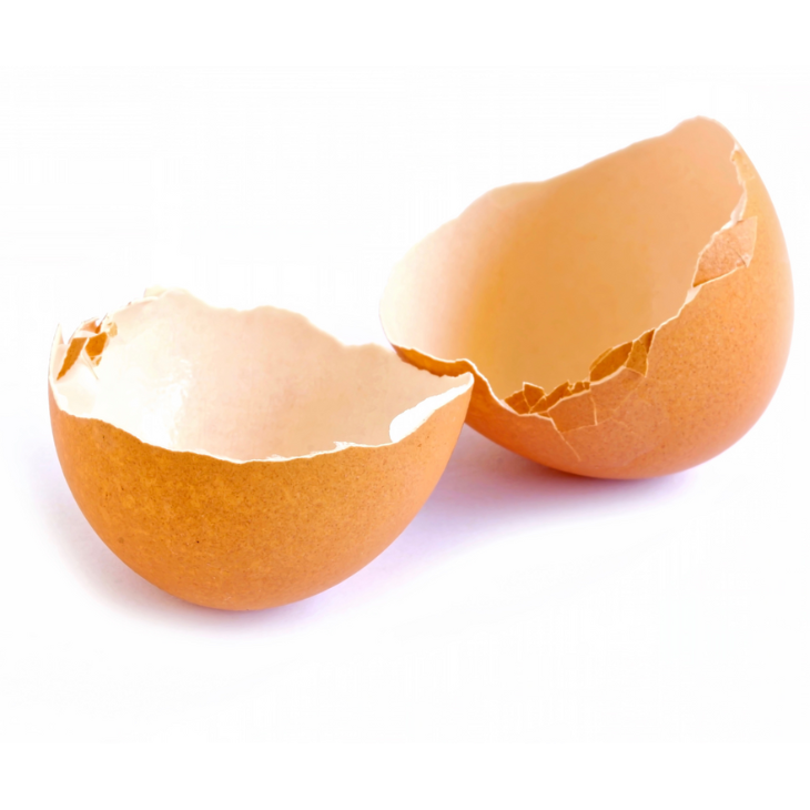 egg shells