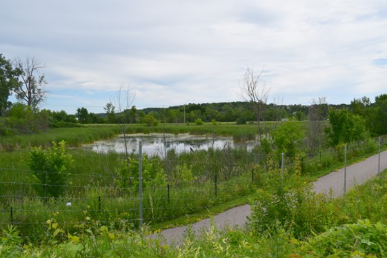 Highway 5 Project Update October 2024 Photo