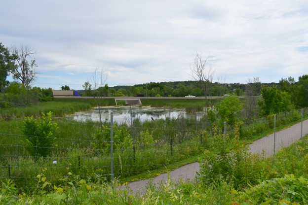 Rendering of the Highway 5 causeway bridge connecting a neighboring wetland area to Lake Minnewashta