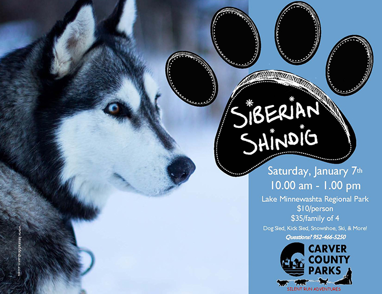 Siberian Shindig 2017 Flyer Pic