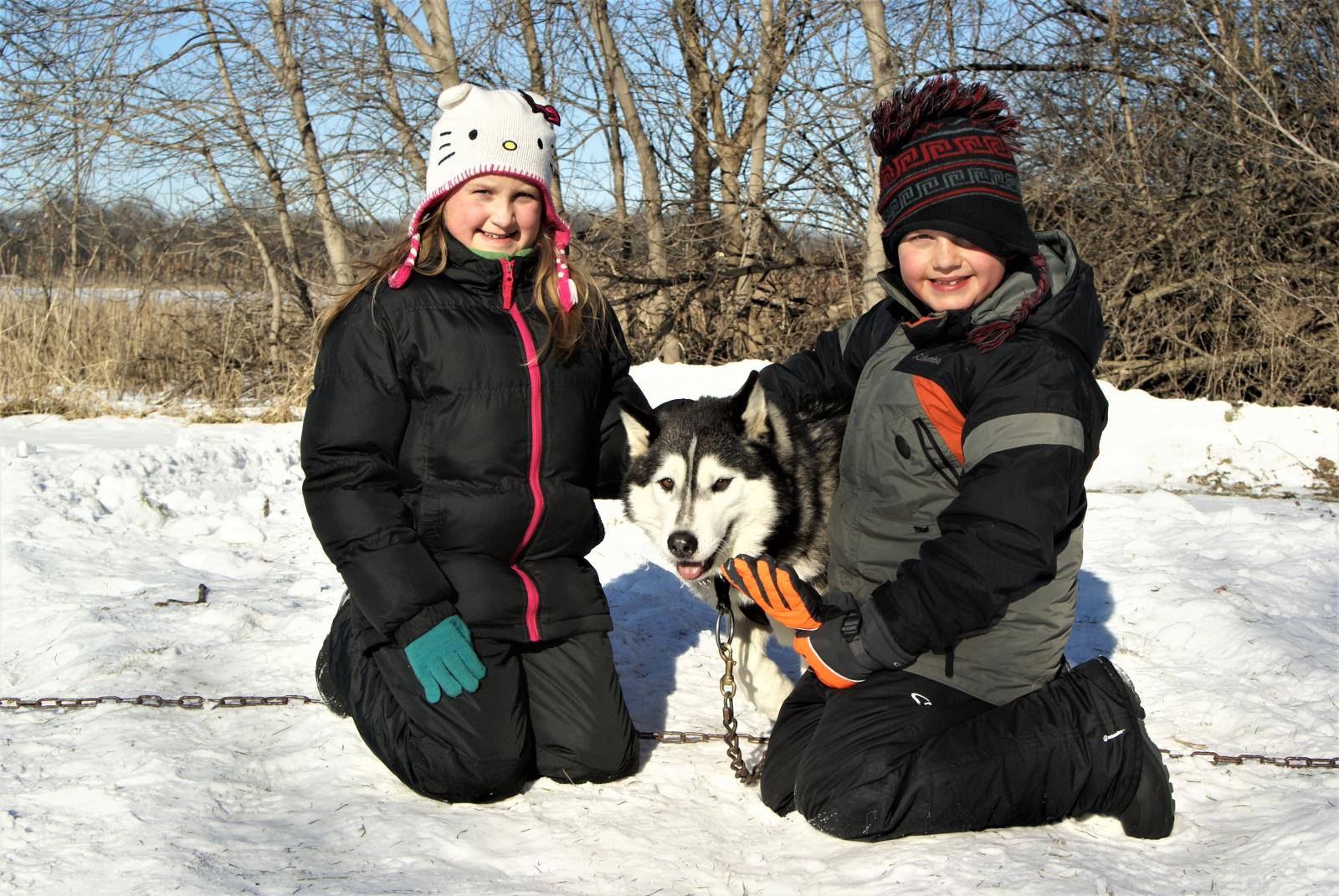 Dog Sled Sue Reisgraf Shindig (9)