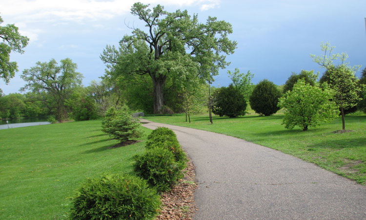 Trail-around-lake