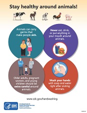 Stay Healthy Around Animals