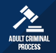 Adult Criminal Process