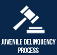 Juvenile Delinquency Process