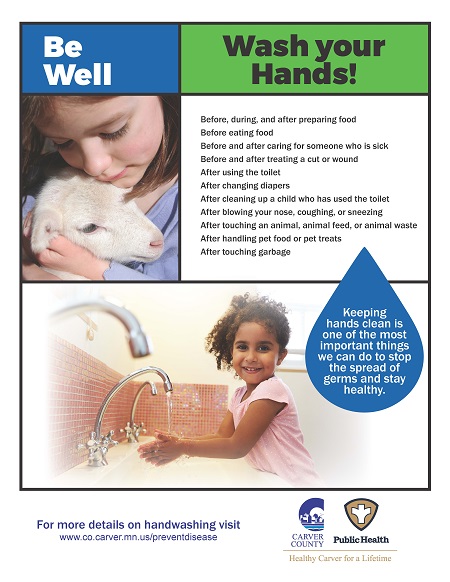 CCPH Wash Your Hands Poster - Girl-Sheep