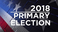 2018 Primary Election